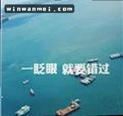 赵强